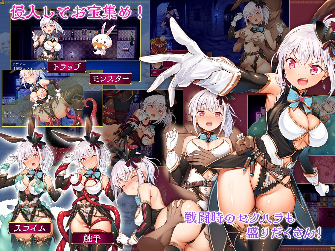 怪盗エフィー 画像2